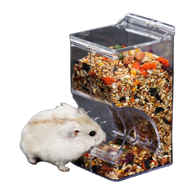 Mangeoire pour écureuils, mangeoire pour hamsters, mangeoire en bois,  support pour mangeoires pour animaux de compagnie