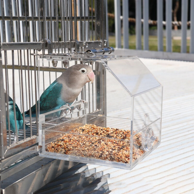 Mangeoires de fenêtre pour oiseaux - Hello-birdy