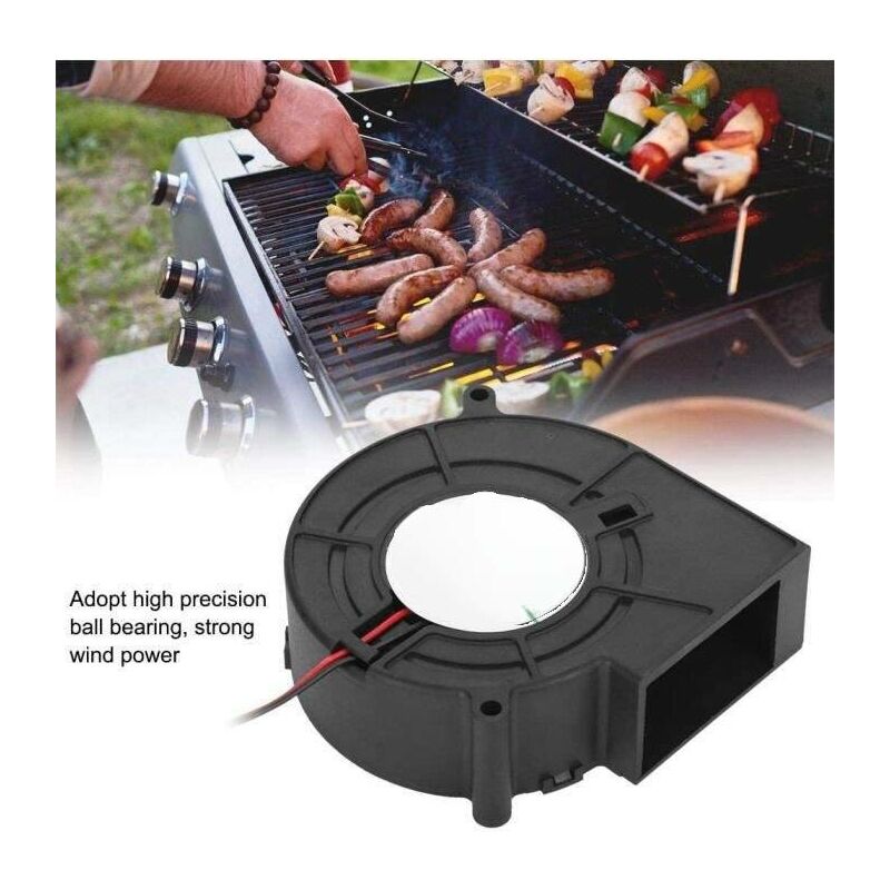 Barbecue de Charbon Portable avec Grille Double Face en Fonte Porte de  Ventilation Pique-Nique Camping Randonnée Noir - Costway