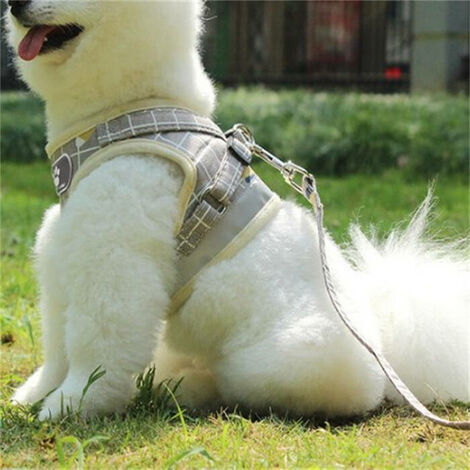 Harnais pour chien de petite et moyenne taille (vert M)-Fei Yu