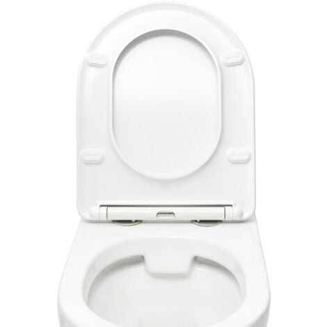 Swiss Aqua Technologies Project Wand-WC ohne Flansch mit Softclose-Sitz, weiß (SATWCPRO010RREXP)