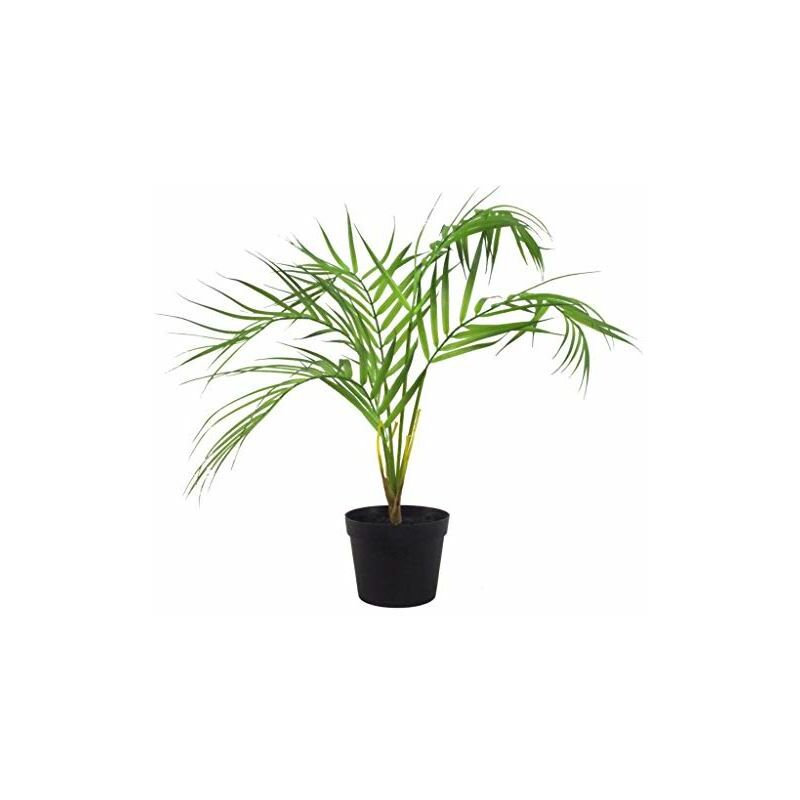 Dieffenbachia deluxe kunstplant 60cm