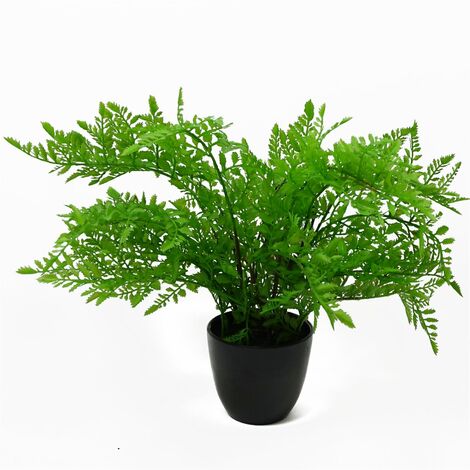 30cm Artificial Potted Southern Wood Fern Black Pot (1/2)
