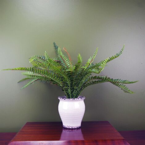 40cm Artificial Bushy Fern Potted in Decorative Planter (1/4)