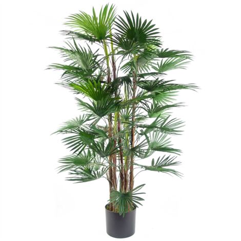 120cm Fan Palm Artificial Tree (1/5)