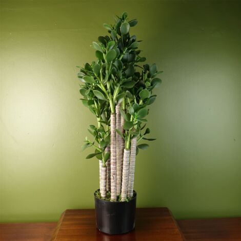 Artificial Deluxe 75cm Green Jade Plant (1/5)