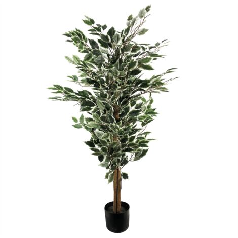 130cm Tall Variegated WhiteandGreen Bushy Ficus Tree (1/5)