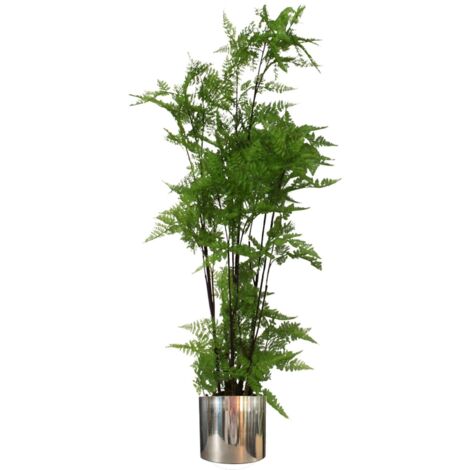 150cm Artificial Natural Moss Base Fern Foliage Plant with Silver Metal Plater (1/5)