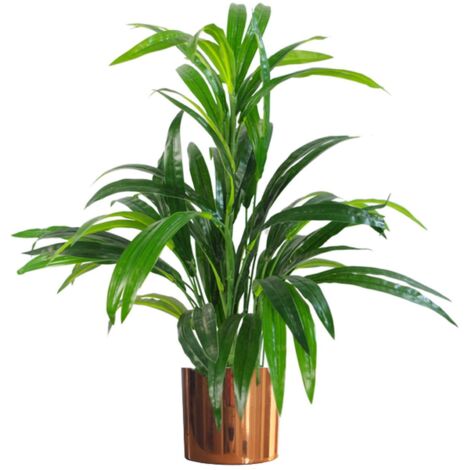 65cm Artificial Large Leaf Bamboo Shrub Plant with Copper Metal Planter (1/5)
