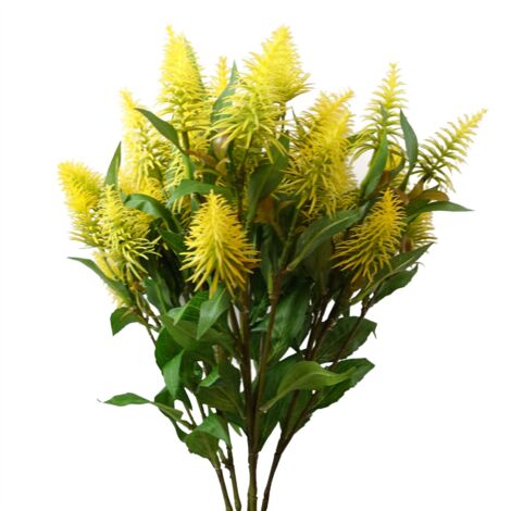 Pack of 6 x 55cm Callistemon Pallidus Yellow Bottle Brush Stem (1/5)