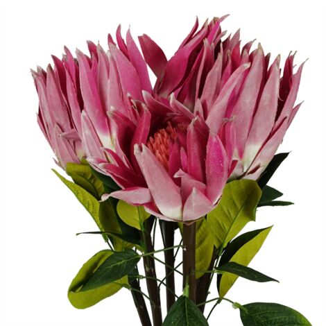 Pack of 6 x 65cm Protea Sugarbush Flower Stem - Pink (1/5)