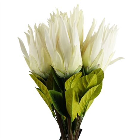 Pack of 6 x 65cm Protea Sugarbush Flower Stem - White (1/5)