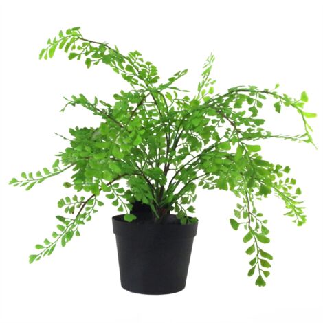 35cm Artificial Potted Fern Plant (Southern Maidenhair Fern) (1/4)