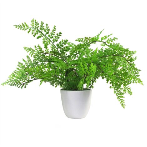 30cm Artificial Potted Royal Fern (1/5)