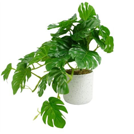30cm Artificial Green Potted Monstera Trailing Plant (1/4)