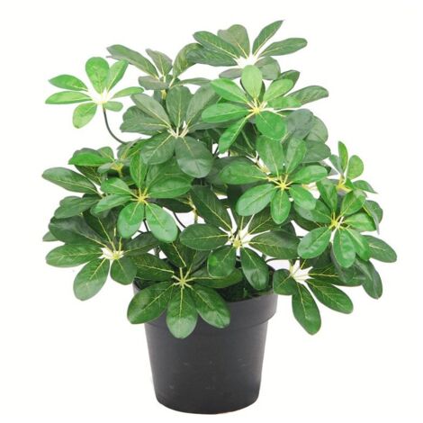 55cm Dark Green Artificial Umbrella Plant (1/5)