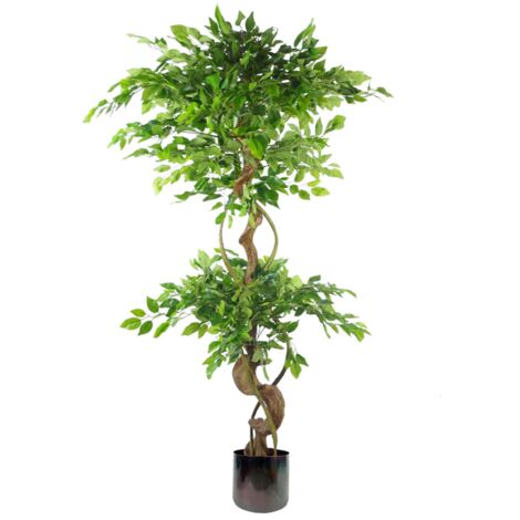 150cm Twisted Trunk Artificial Japanese Fruticosa Ficus Tree Rainbow Planter (1/5)