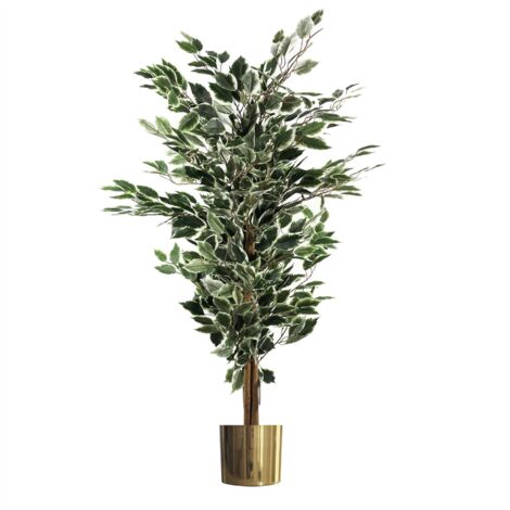130cm Variegated White/Green Bushy Ficus Tree Gold Metal Planter (1/4)