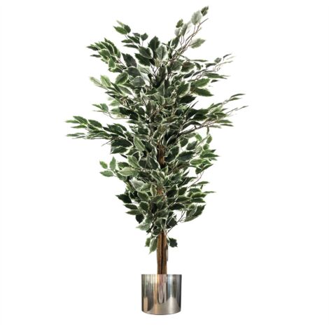 130cm Variegated White/Green Bushy Ficus Tree Silver Metal Planter (1/4)