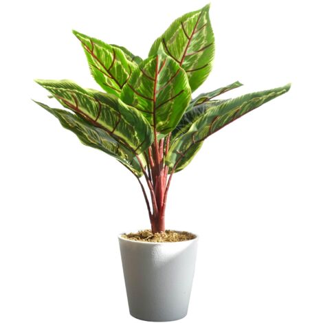 38cm Potted Artificial Calathea Veitchiane (1/4)