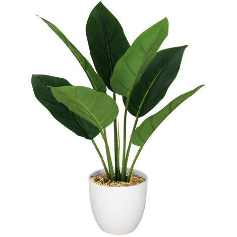 45cm Artificial Aureum Plant (1/5)