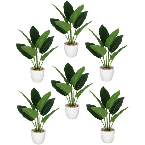 Pack of 6 x 45cm Artificial Aureum Plant (1/5)