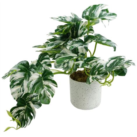 30cm Artificial Variegated Green Potted Monstera Trailing Plant (1/4)
