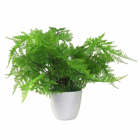 30cm Artificial Potted Lady Fern (Athyrium Filix-Femina) (1/5)