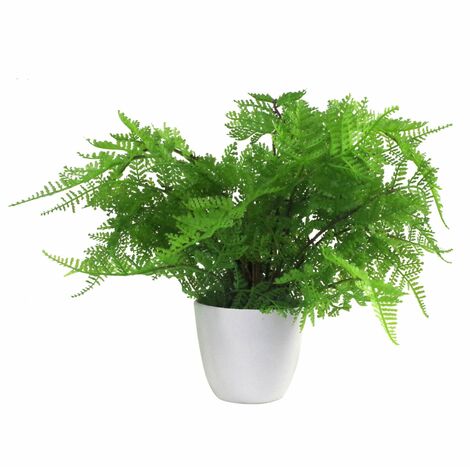 30cm Artificial Potted Lady Fern (Athyrium Filix-Femina) (1/5)
