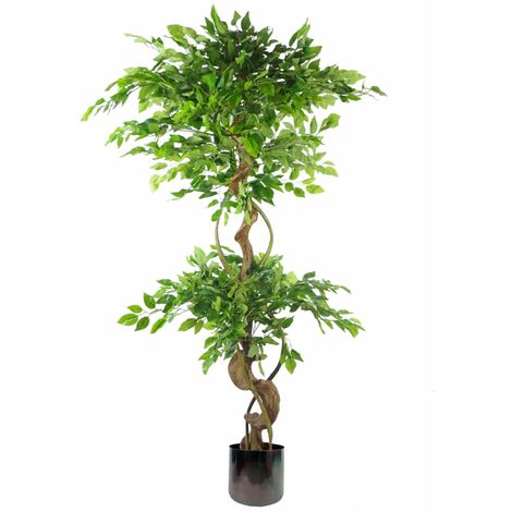 150cm Twisted Trunk Artificial Japanese Fruticosa Ficus Tree Rainbow Planter (1/5)
