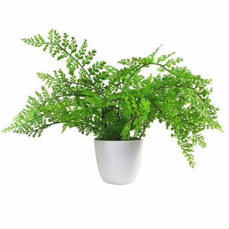30cm Artificial Potted Royal Fern (1/4)