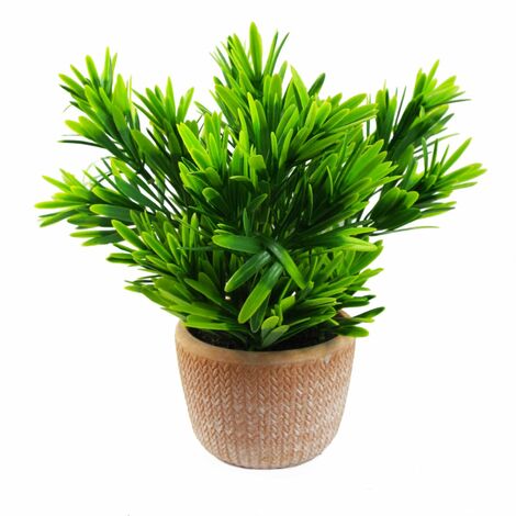 22cm Foliage Honey Plant Dark Green in ...