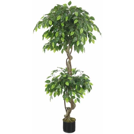 Captivating Artificial Ficus Tree: Green, Twisted Trunk, 6.2ft/190cm main image 0