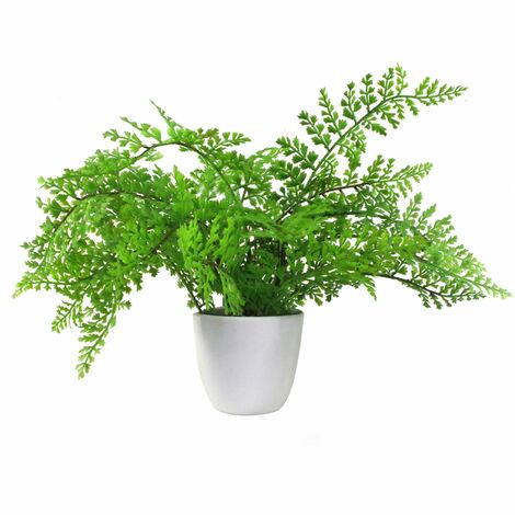 30cm Artificial Potted Royal Fern (1/5)