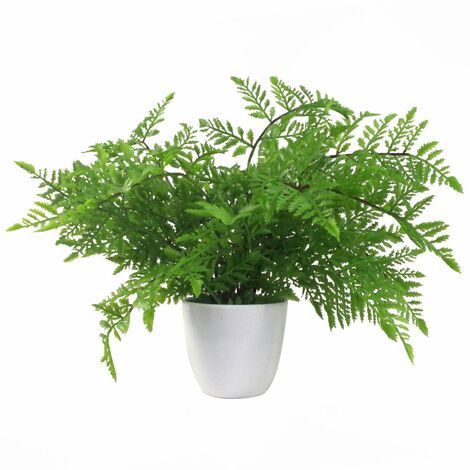 30cm Artificial Potted Southern Wood Fern (1/5)