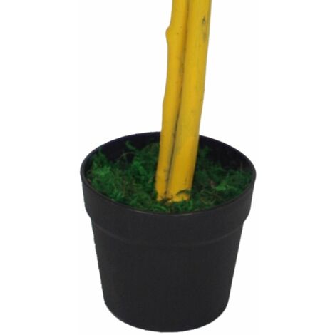 120cm (4ft) Artificial Capensia Tree Ficus Plant - Extra Large