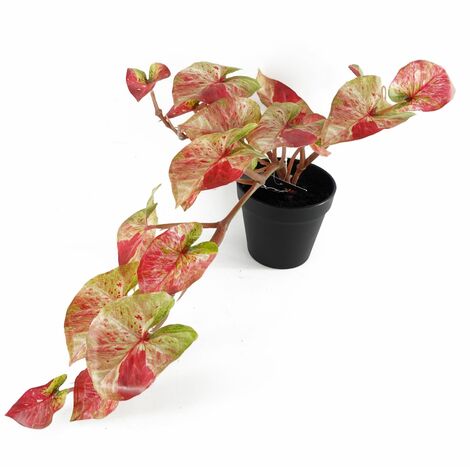 35cm Artificial Hanging Trailing Plant Pink Splash Caladium (1/5)
