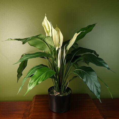 Artificial Peace Lily White Spathiphyllum (1/4)