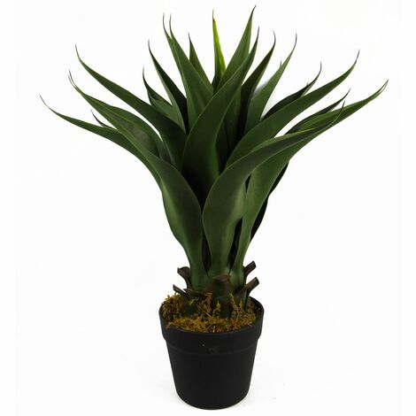 55cm Artificial Yucca Plant (1/5)