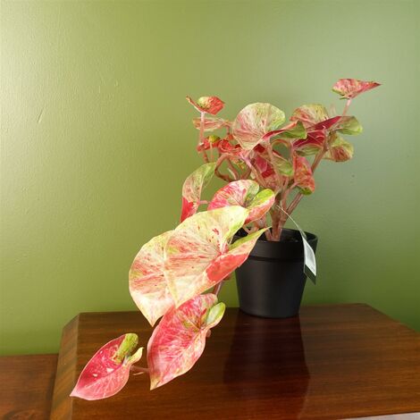 35cm Artificial Trailing Hanging Plant Realistic Pink Splash Caladium (1/5)