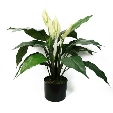 Artificial Peace Lily White Spathiphyllum (1/4)