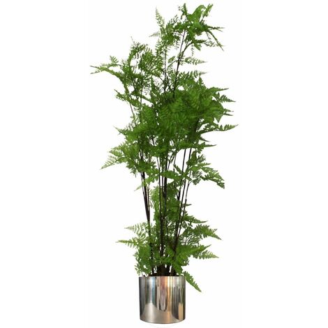 150cm Artificial Natural Moss Base Fern Foliage Plant with Silver Metal Plater (1/5)