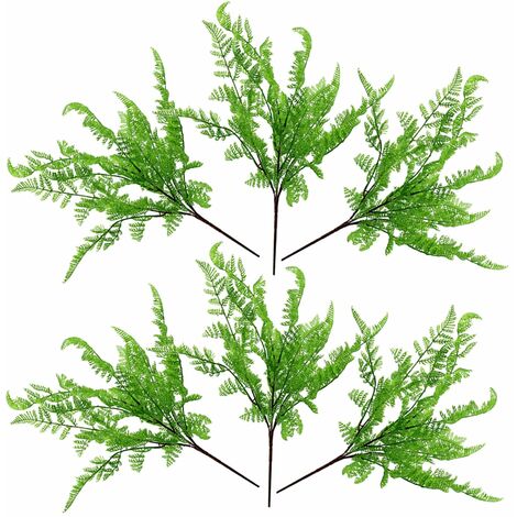 6 x 50cm Southern Wood Fern Bush Dark Green Plant (1/4)