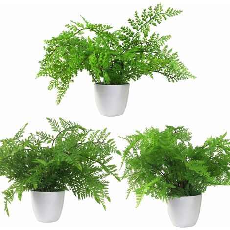 Pack of 3 x 30cm Artificial Ferns - Southern Wood - Lady and Royal - Potted (1/5)