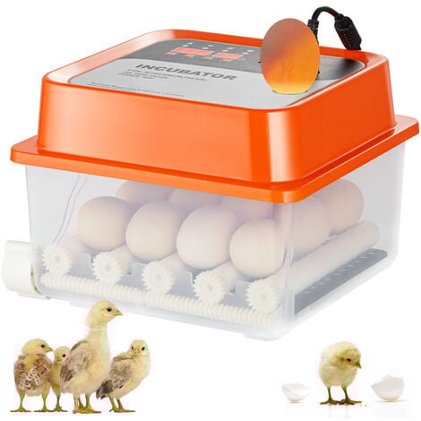 VEVOR Incubadora Automática de Huevos Incubadora para Huevos para Incubar Giro Automático 12 Huevos Control de Temperatura y Humedad Tapa Transparente para Incubar Huevos de Gallina Pato Codorniz