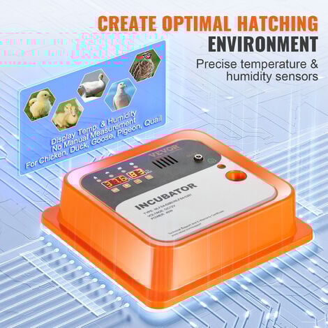 VEVOR Incubadora Automática de Huevos Incubadora para Huevos para Incubar Giro Automático 12 Huevos Control de Temperatura y Humedad Tapa Transparente para Incubar Huevos de Gallina Pato Codorniz