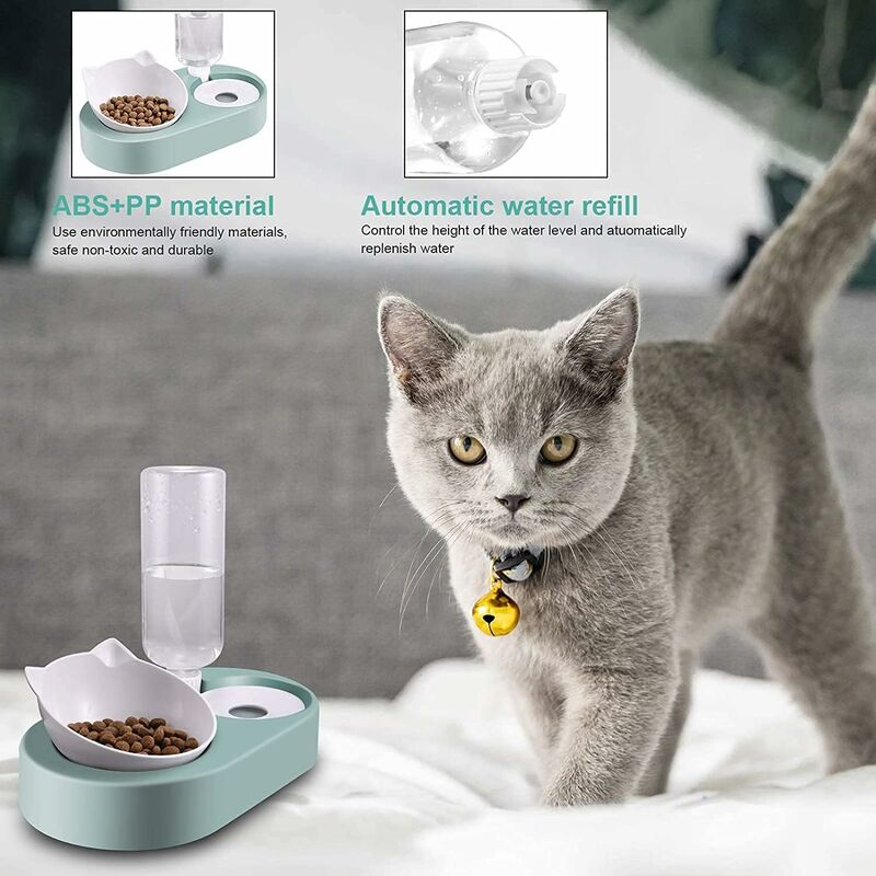 Elevated Cat Food Bowl - Whisker Friendly Elevated Cat Food Bowls For Food  - Ergonomic Tilted Raised Cat Dish, Pet Water Or Food Feeding Station For I