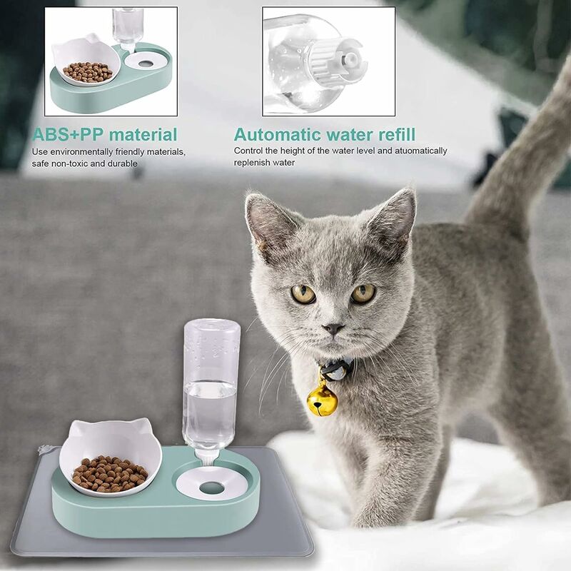 Tilted Cat Food Bowls No Spill Raised Cat Food Bowl Ergonomic Feeding  Station