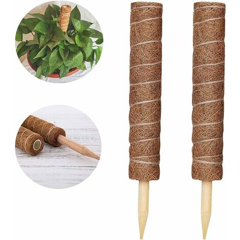 Relaxdays Tiges en bambou 150 cm, en bambou naturel, bâtons en bambou comme  tuteur ou décoration, pour bricoler, couleur - - Cdiscount Jardin