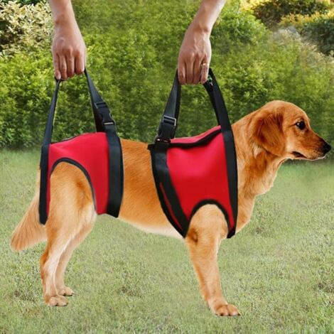 2Types Avant et arrière Soutien de Chien Harnais Aide à la Marche de Levage Gilet de Traction pour Les Chiens âgés et blessés(L - Rouge - Jambe arrière)